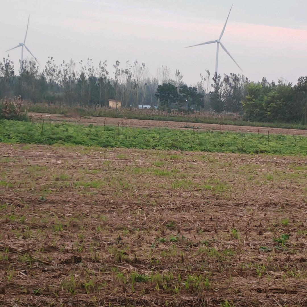 ꧁@㜂(feng)孞(xin)@꧂