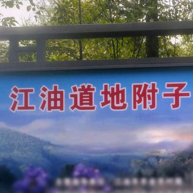 中国江油附子（古法柳木灰炮）野生环境