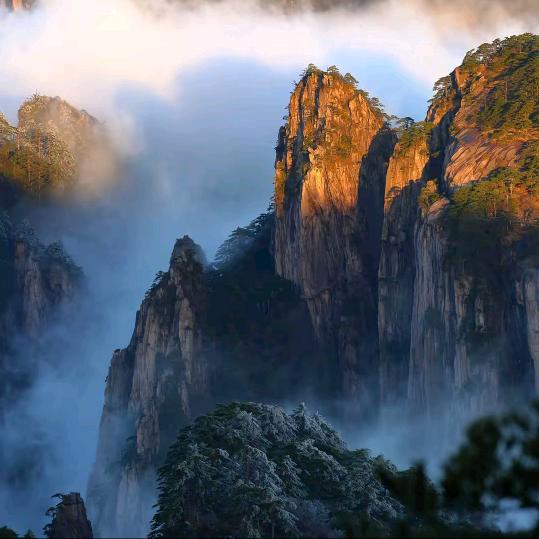 「青⛰️山」花泽