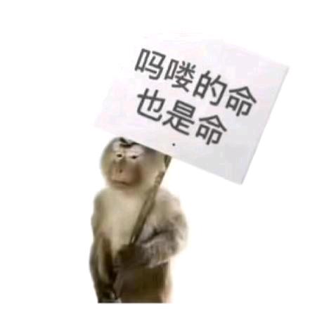 罗兰雨声