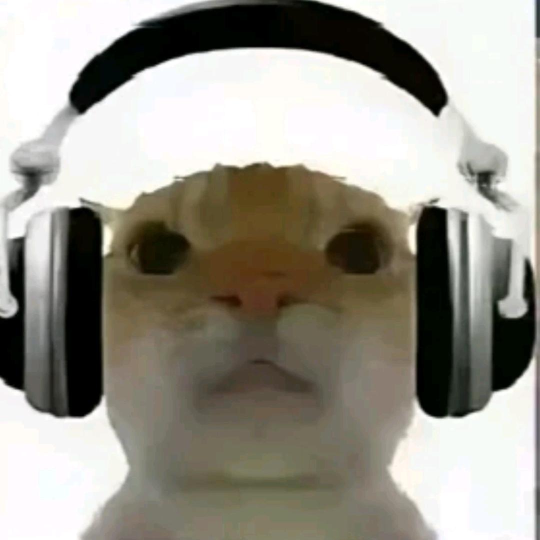 我的世界主播——灬