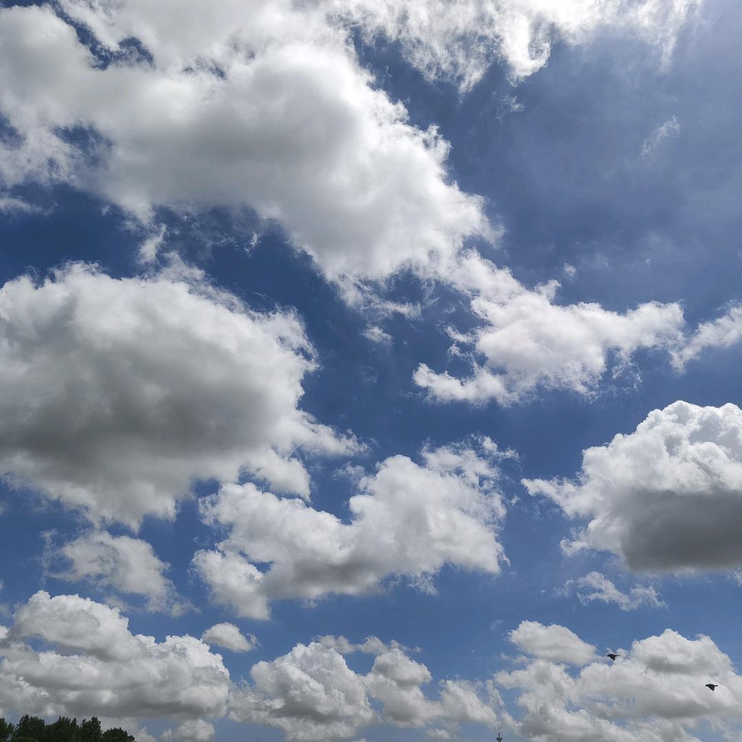 大河之水天上来