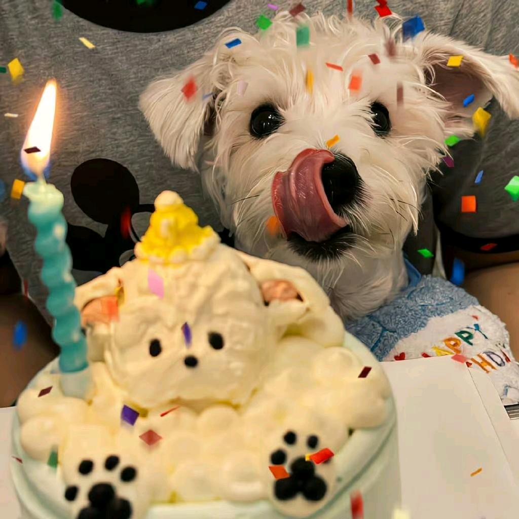 鲤鱼鲫鱼红烧鱼