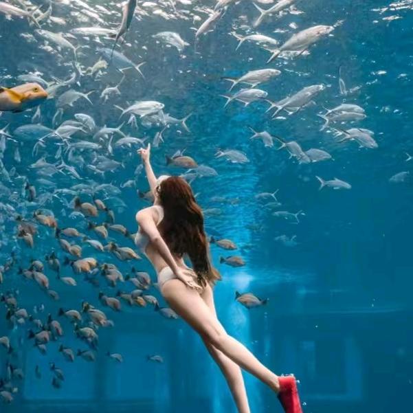 赶海的姑娘