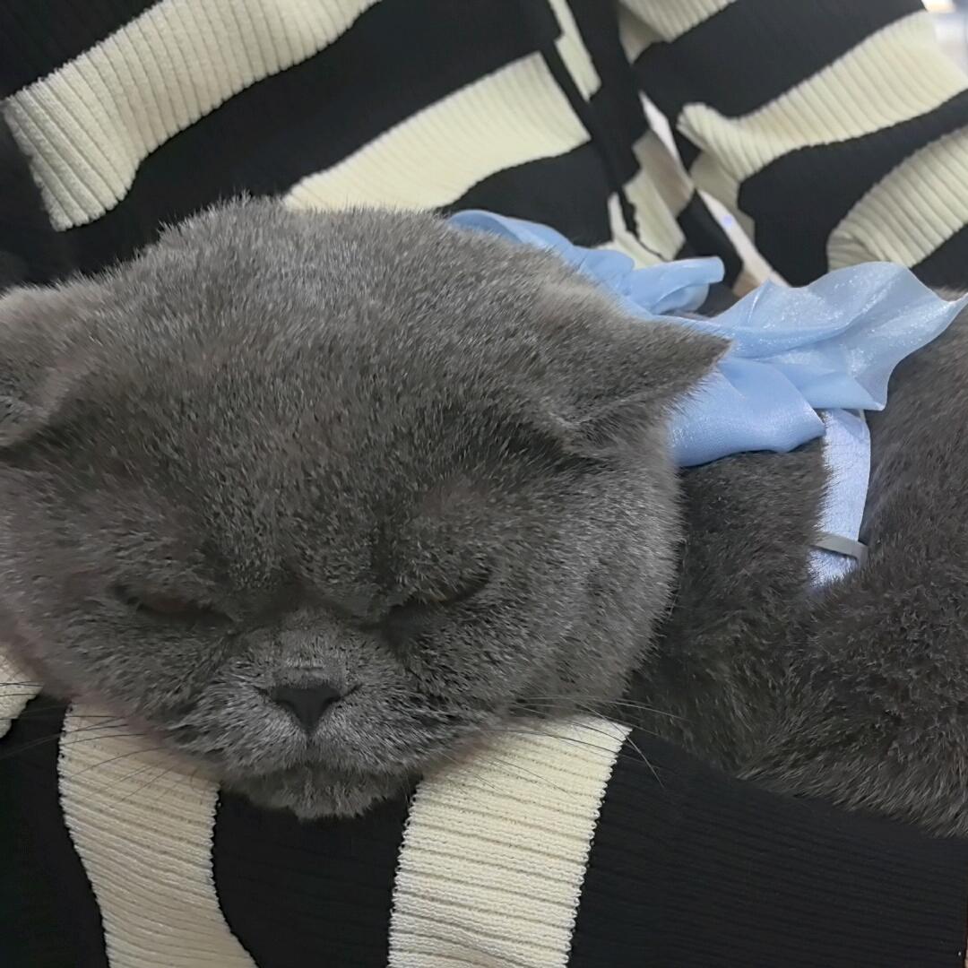 桥头堡