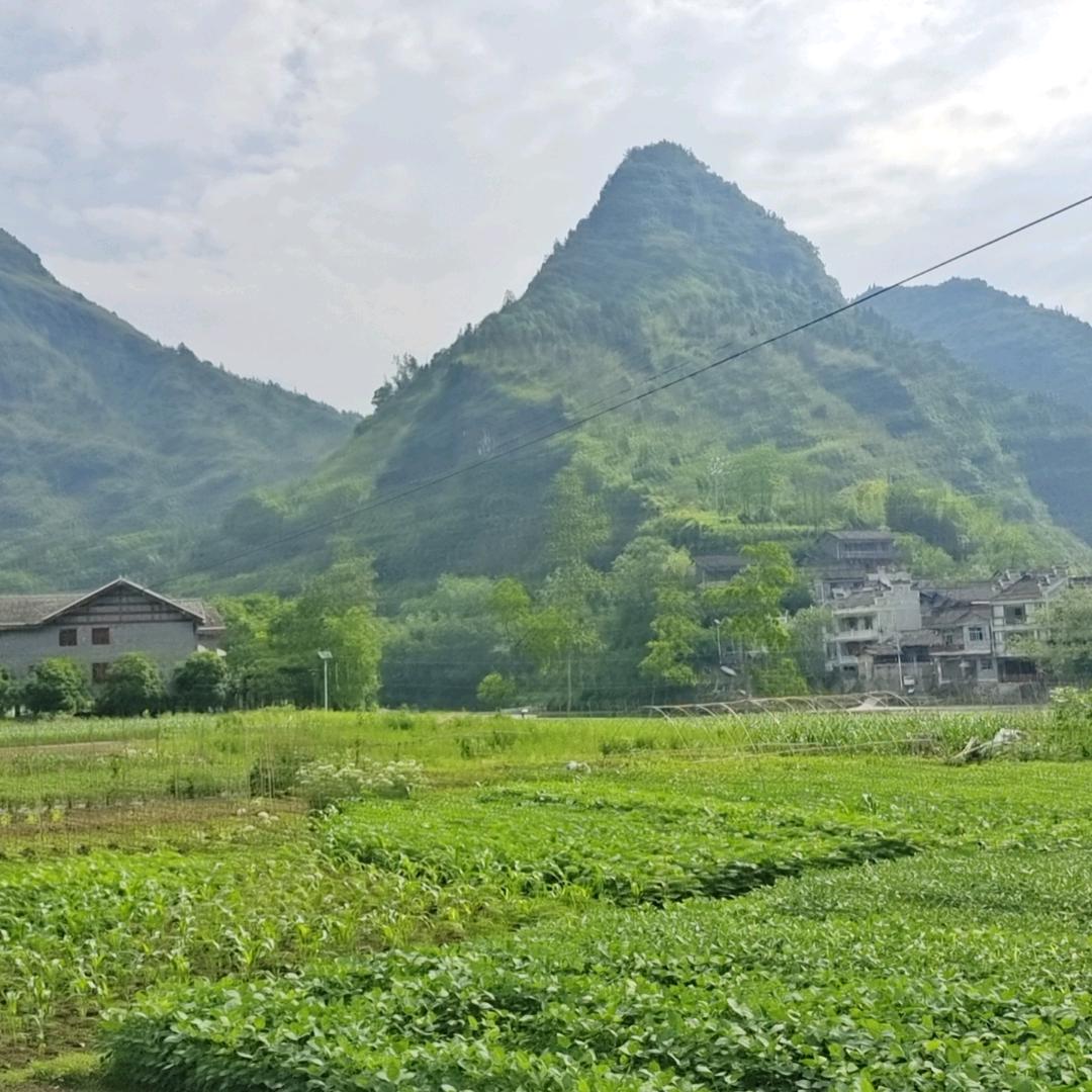 爱乒乓的测绘师