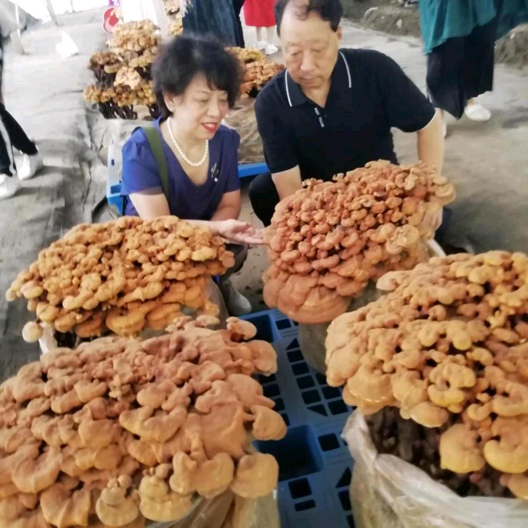 位茉莉百货店