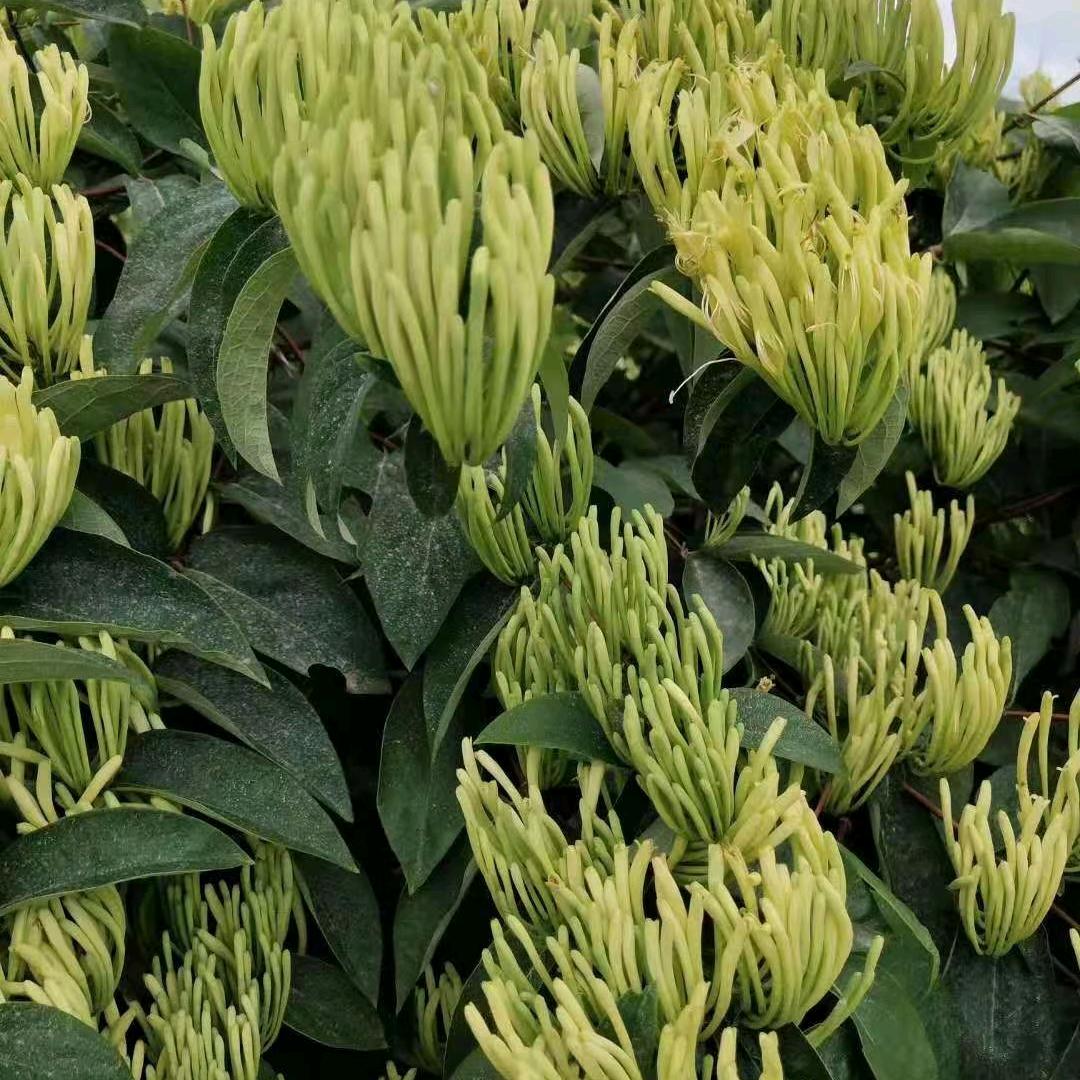 陈敏