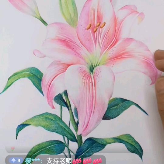 看见明天