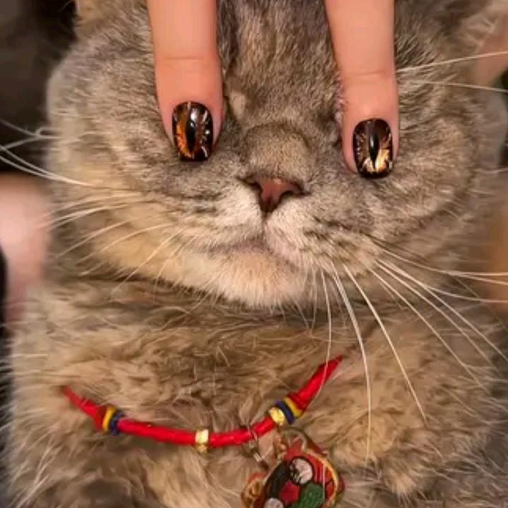 抠搜熊@PP手作<接人物印象>