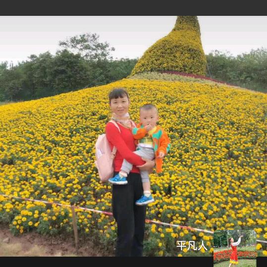 金碧惠香《鼎药世家》