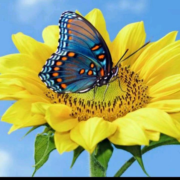 扬帆回收旧衣服洗衣液招代理《活珠子》