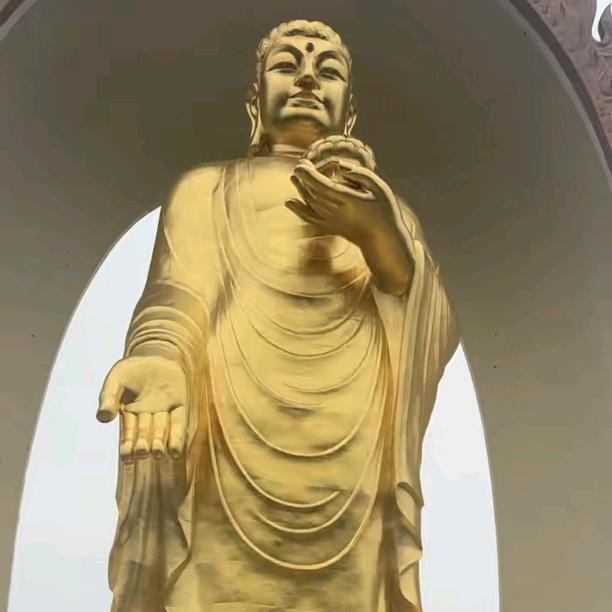 总经理
