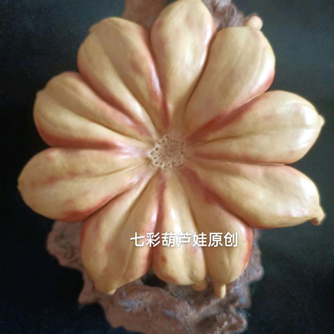 [福娃]小小七彩