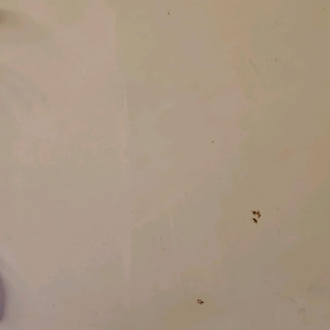 小小刚琴
