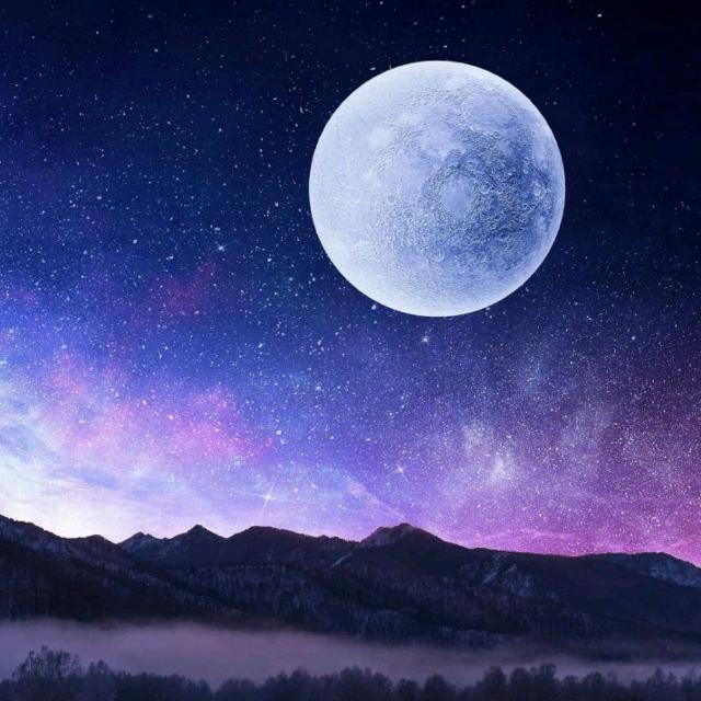 每天都要振一发