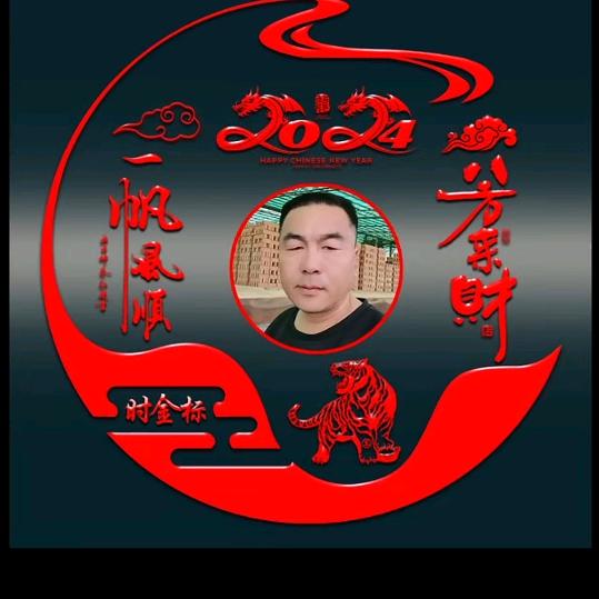 时金标
