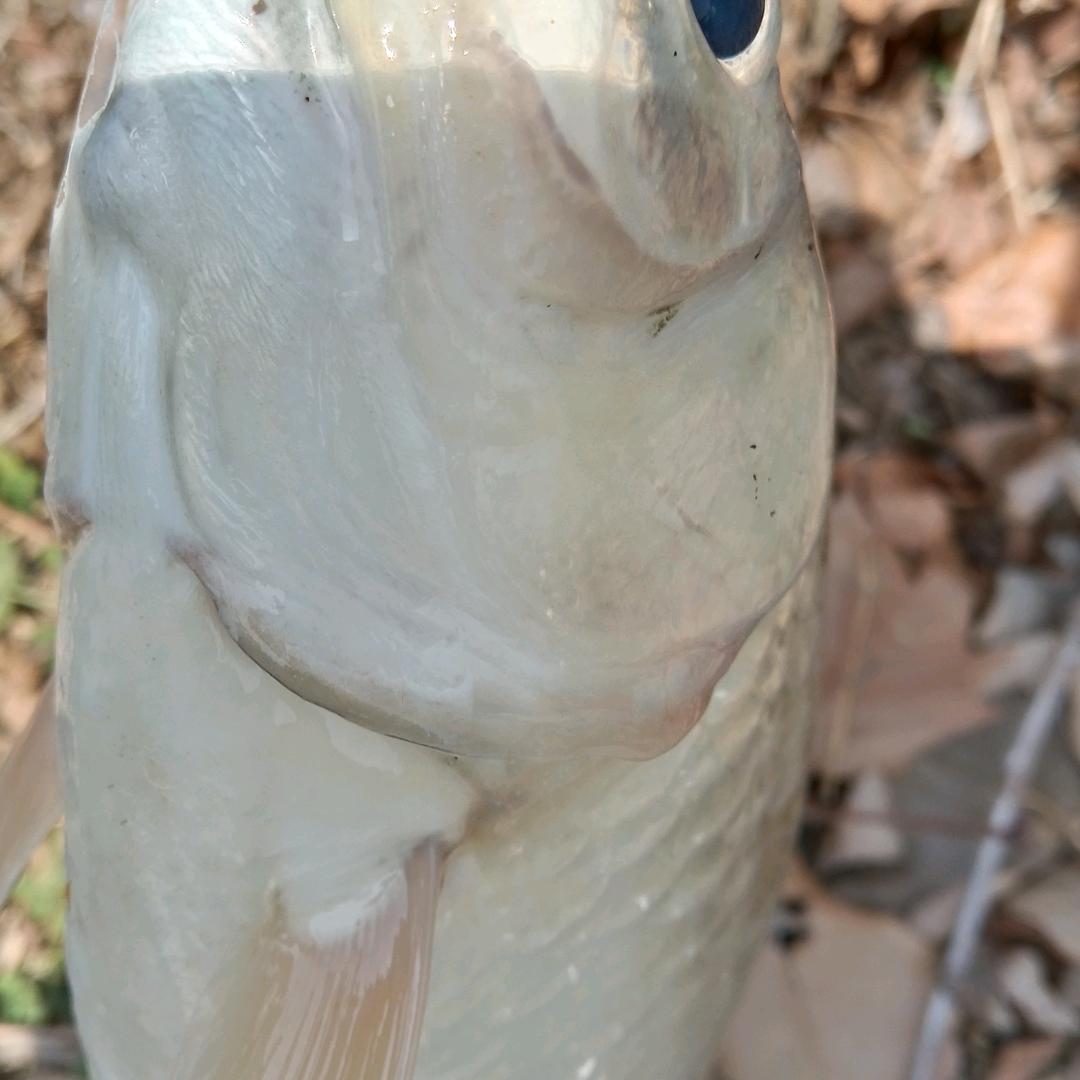 用户380363487695