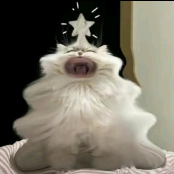 Haio_浔奇临函