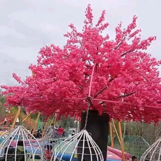 商洛，珍姐🐾🐾🐾
