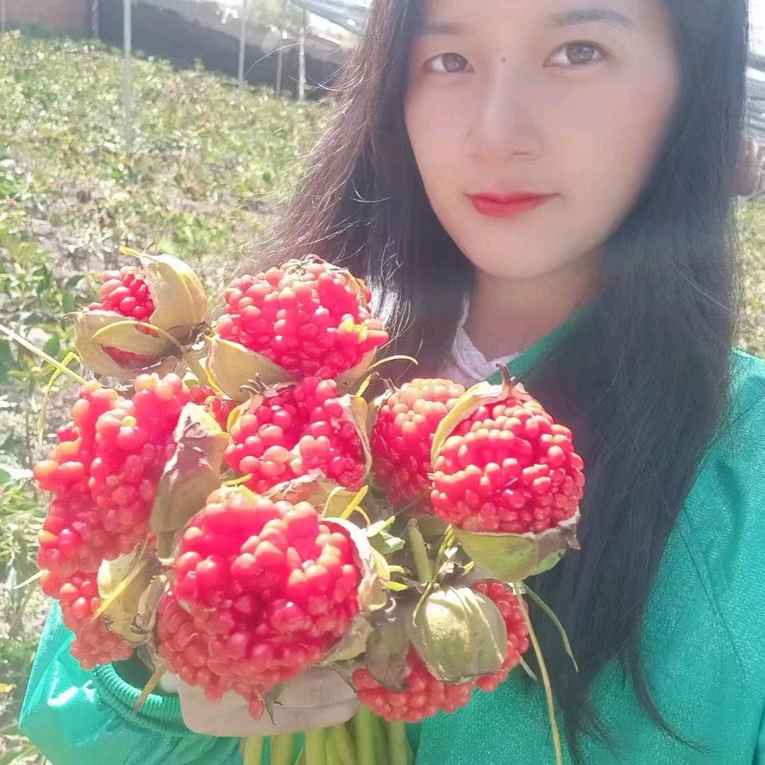 小和忙着种药材