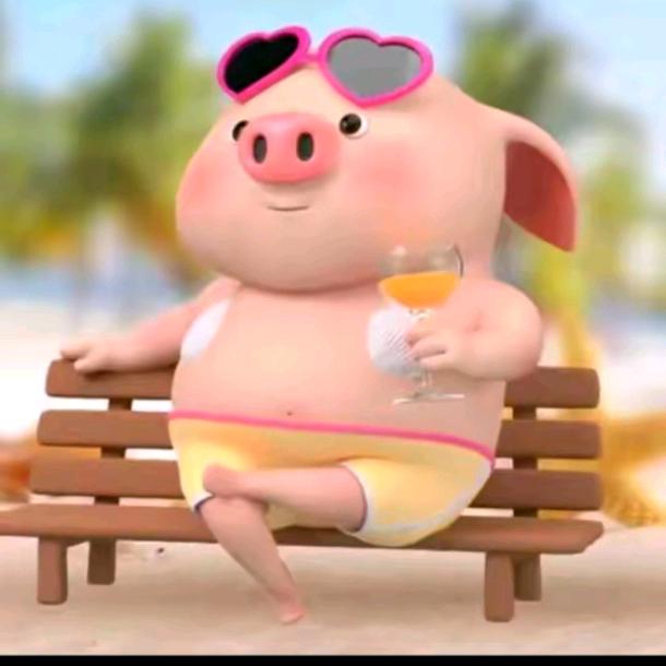 🐷小猪猪