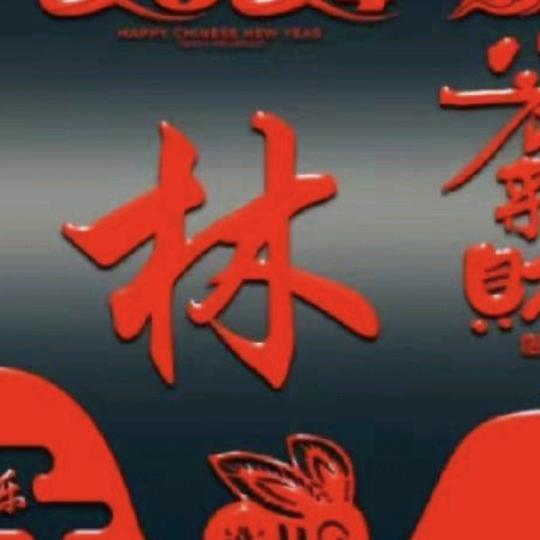 林哥🇨🇳