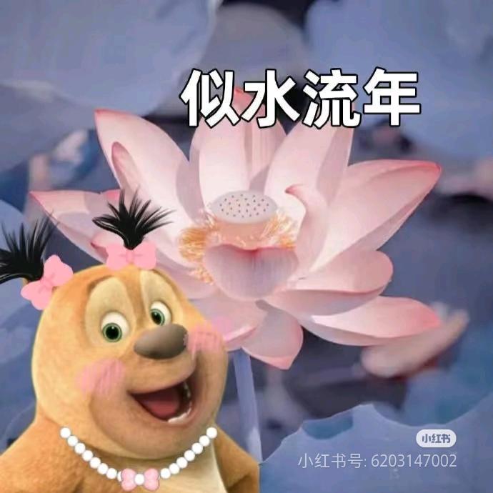 奋斗