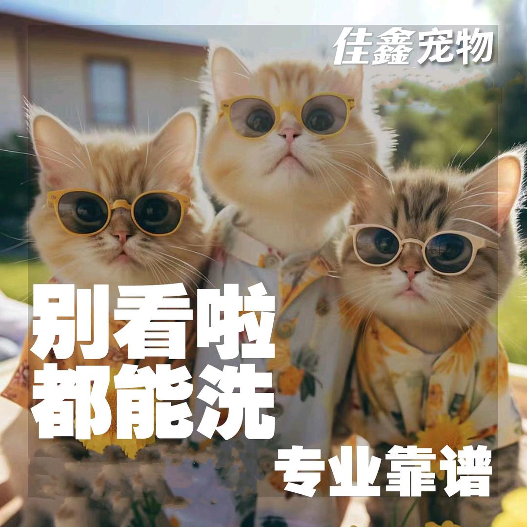 佳鑫团宠PET·SHOP🐾