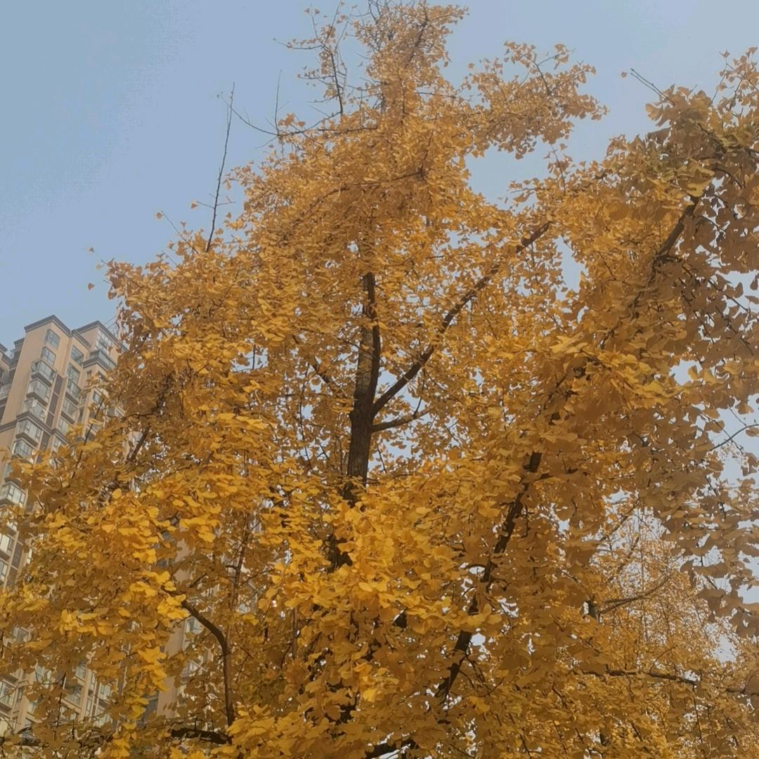 深海蓝