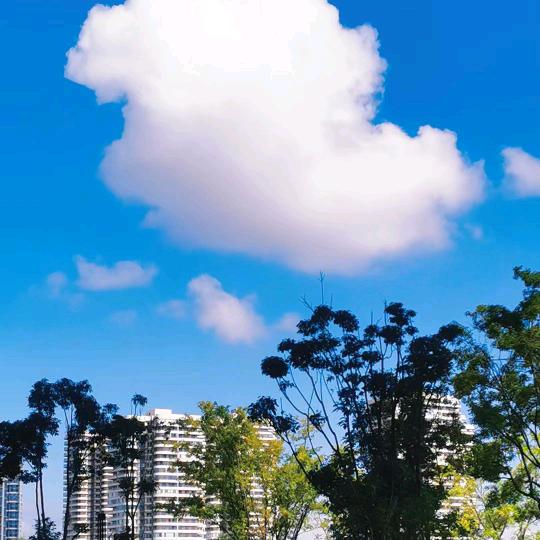 潇潇洒洒