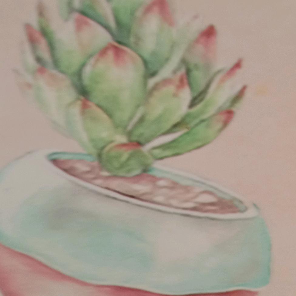 🌻奔赴🙏🙏、爱听音