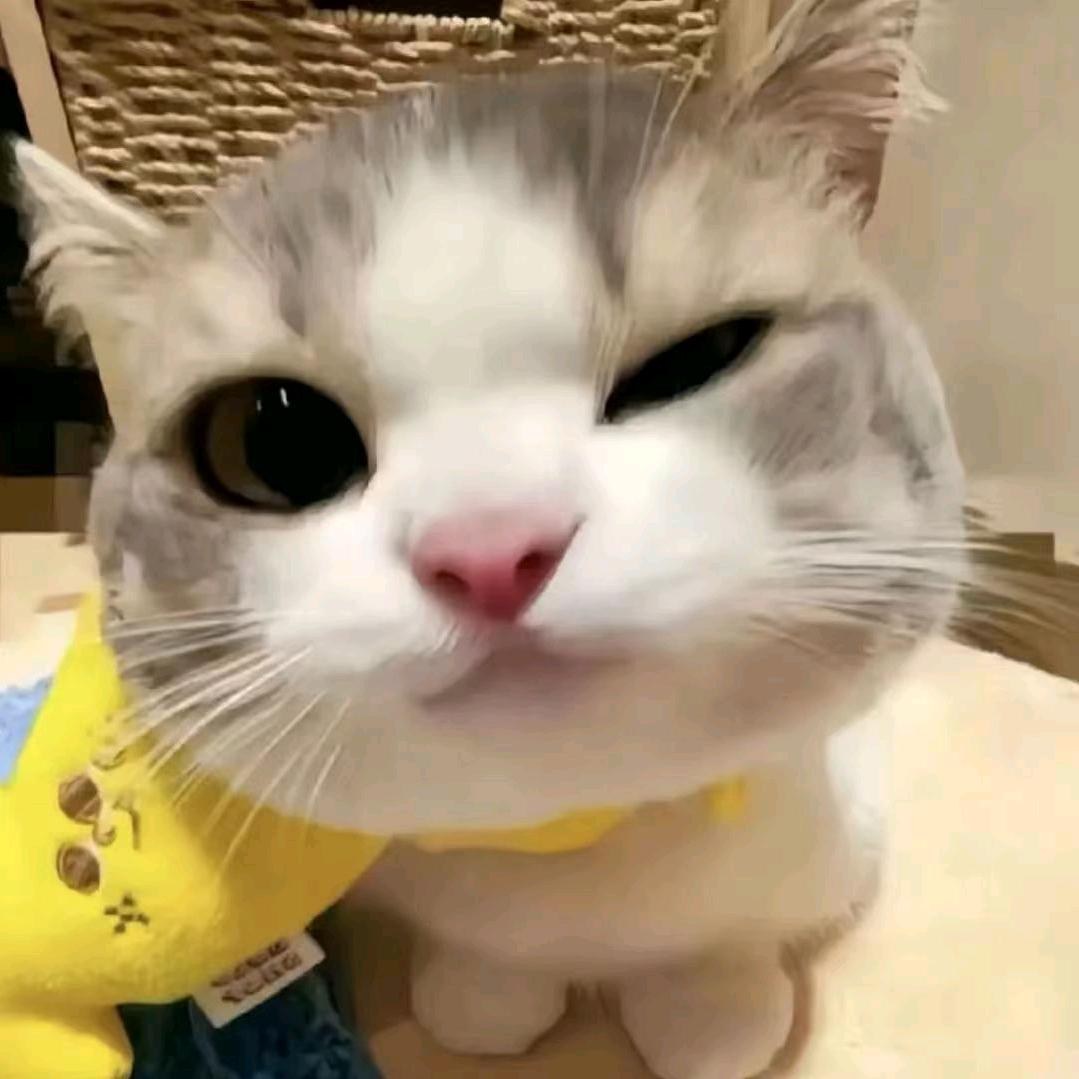 秦天娃娃