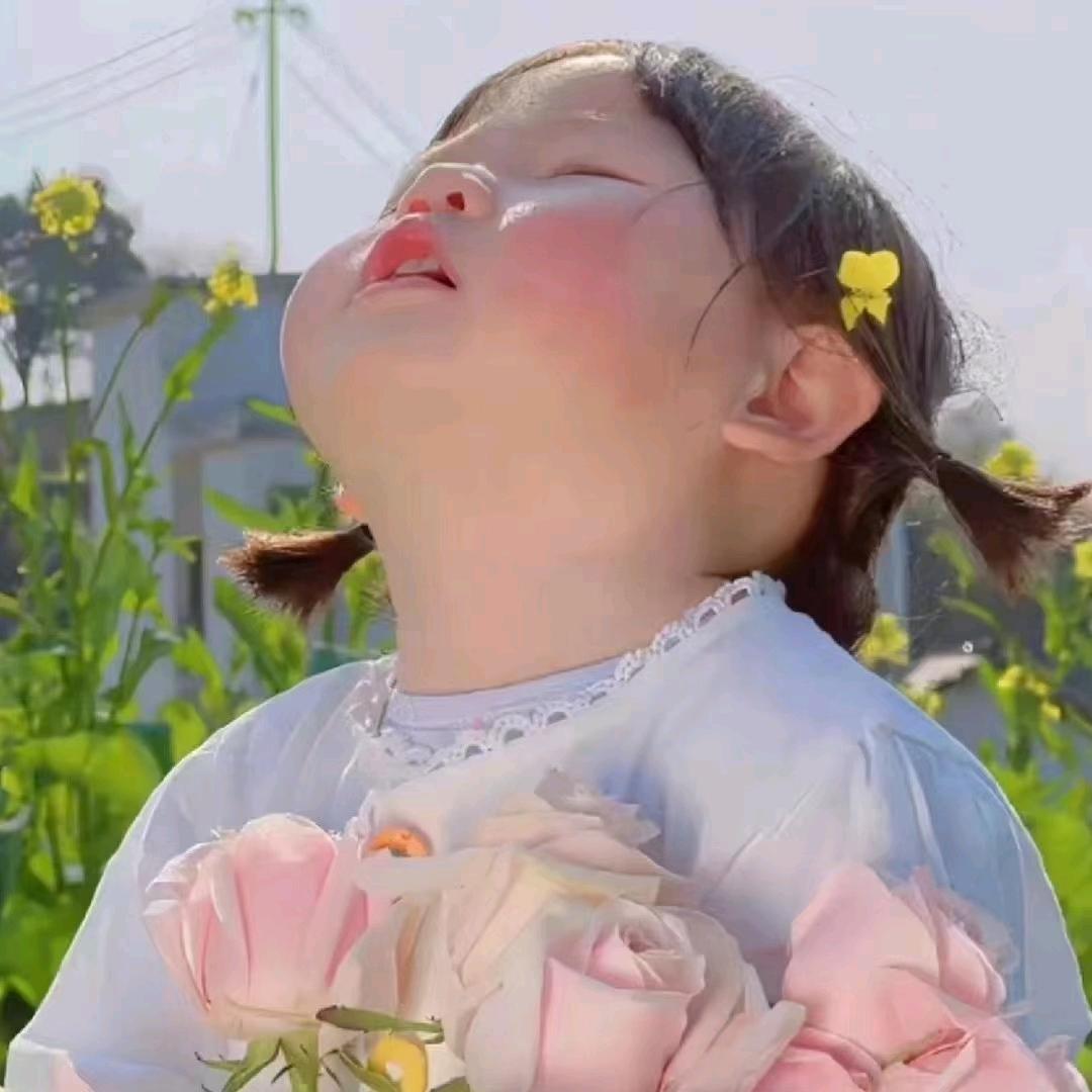 🐷多财🐰多亿