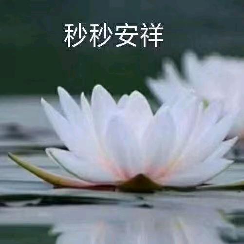 吉祥🌟