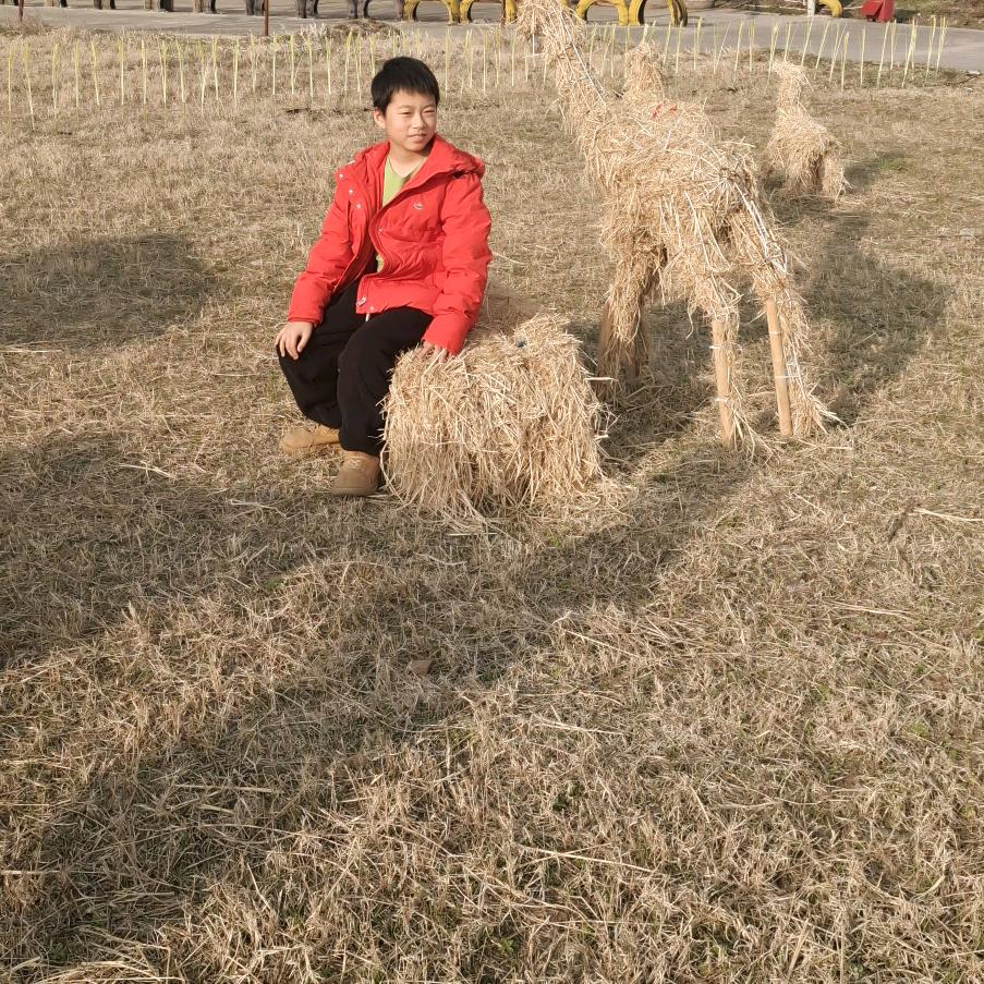 徐建玲