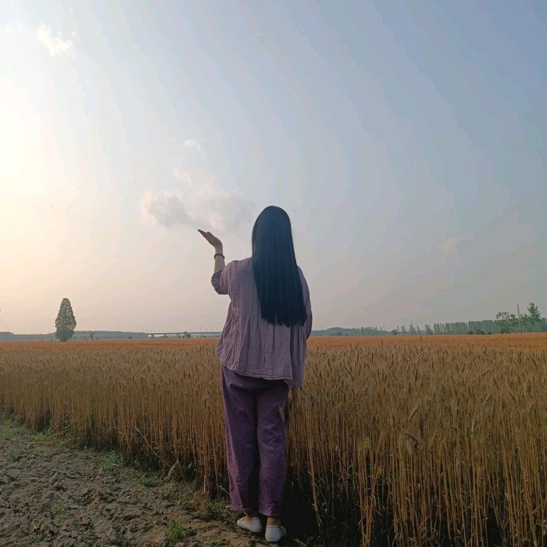 兔妈鼠宝