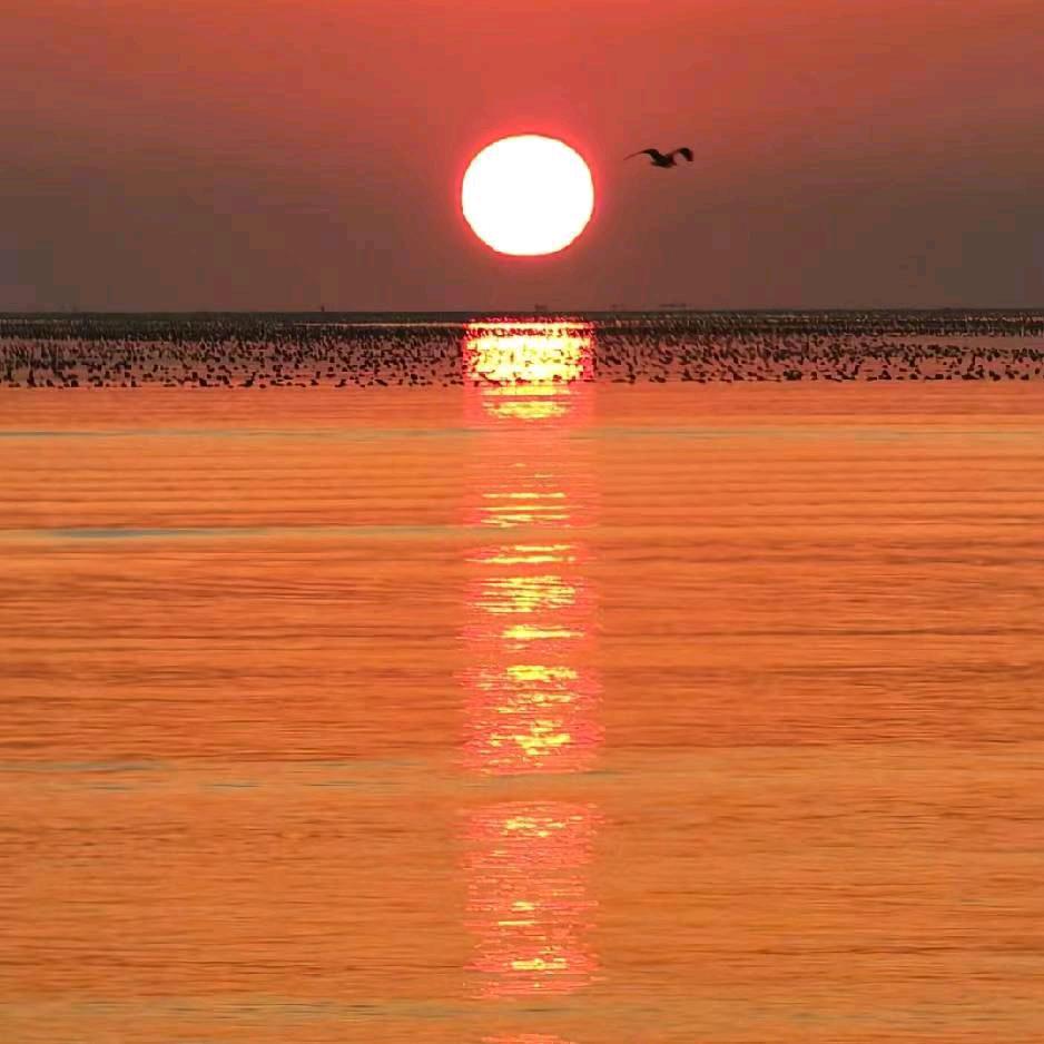 张爱连见赞必回