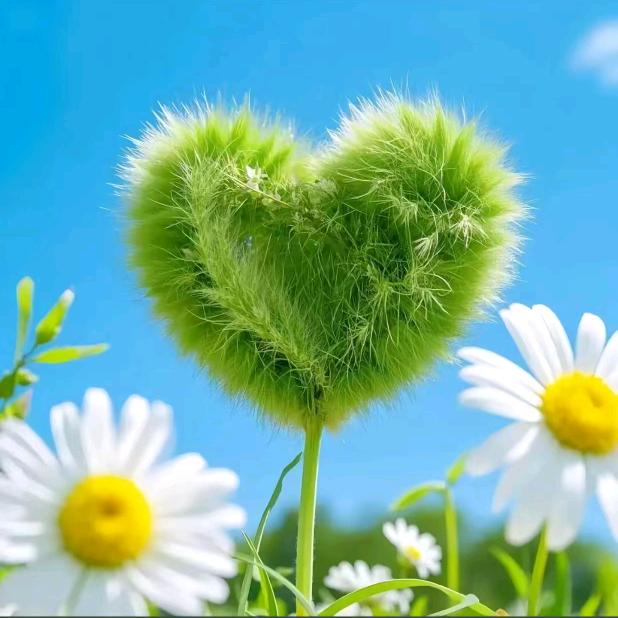 铭诚优选超市菲菲很乖呀直播号