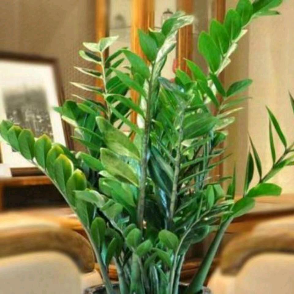 老男孩读书成长营