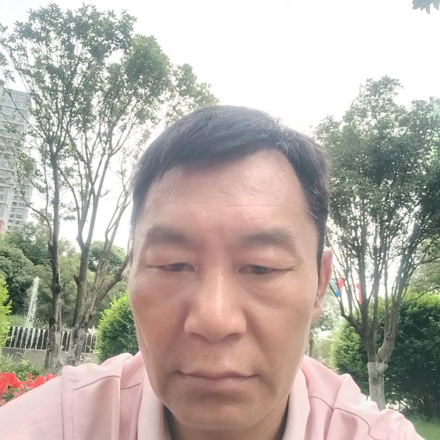 全程似锦