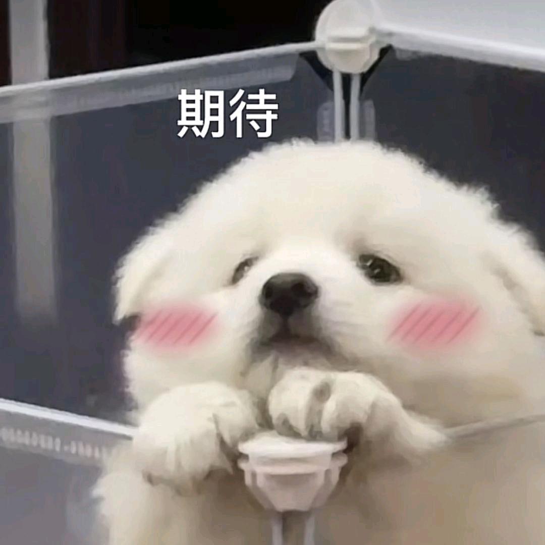 徐胖胖