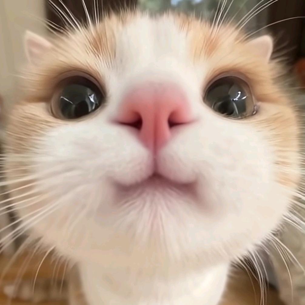 闲余范