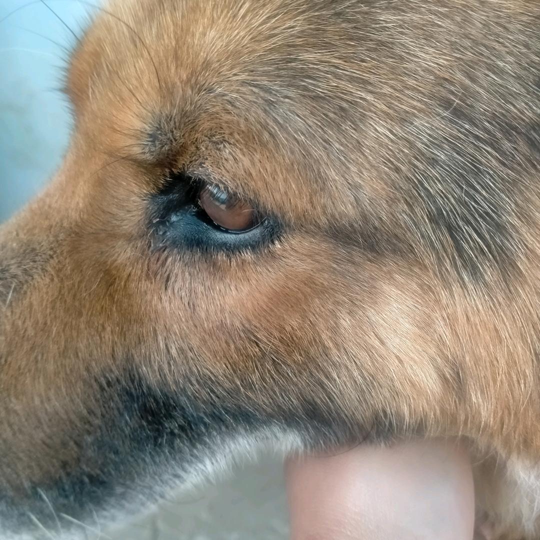 小马🐎🐎🐎🐎