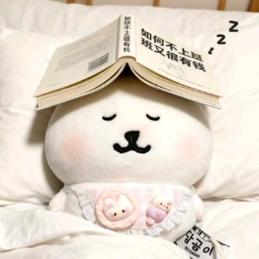 白夜航行