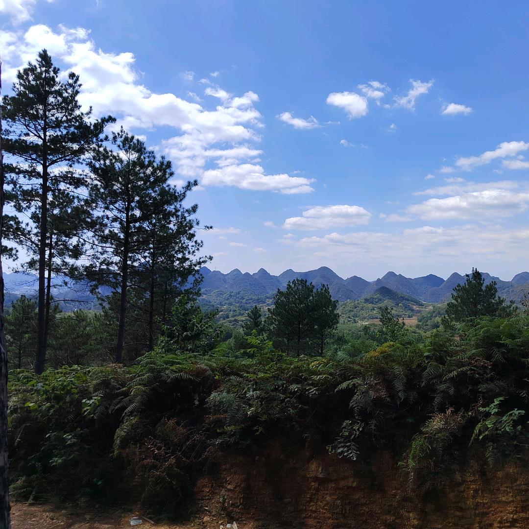 岚风