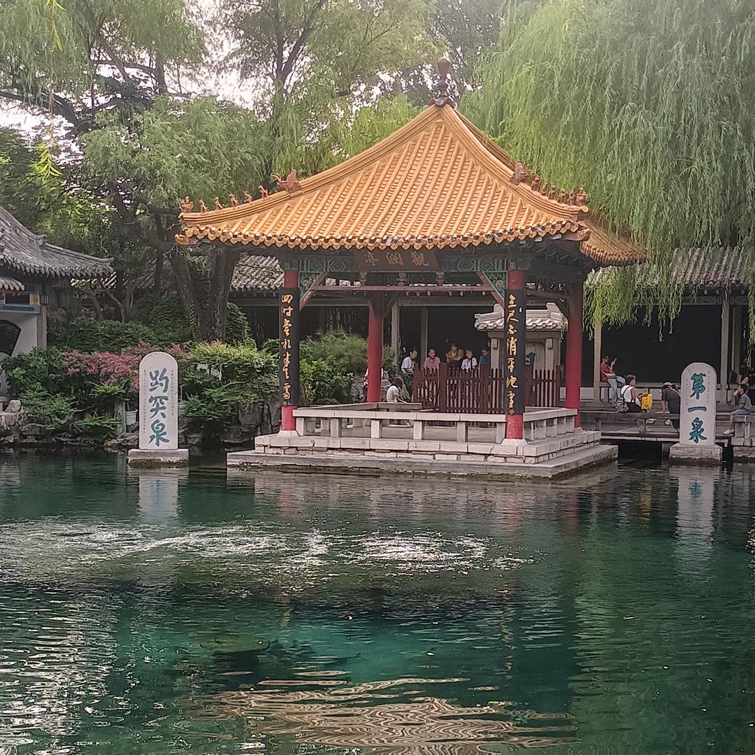 不吃肉会瘦