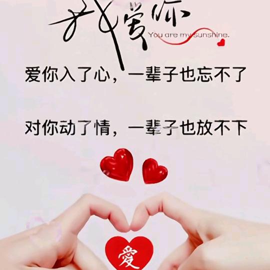 ZHUTINGCHUN❤️