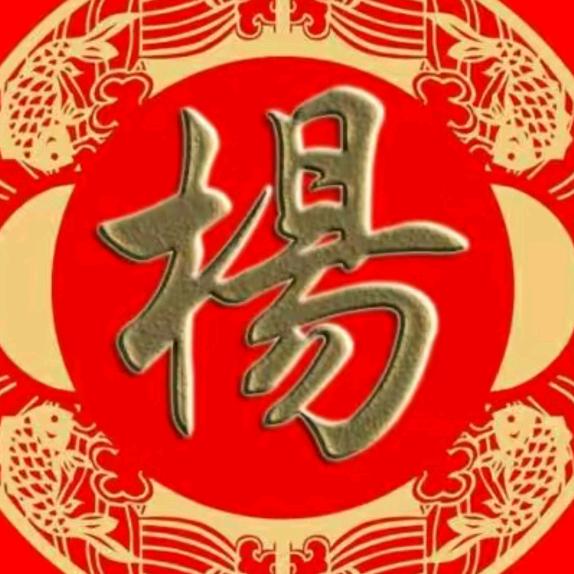 中华杨氏家族