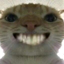 🚬ღ᭄ꦿ꯭㜂ঞৣঁ孞ღ